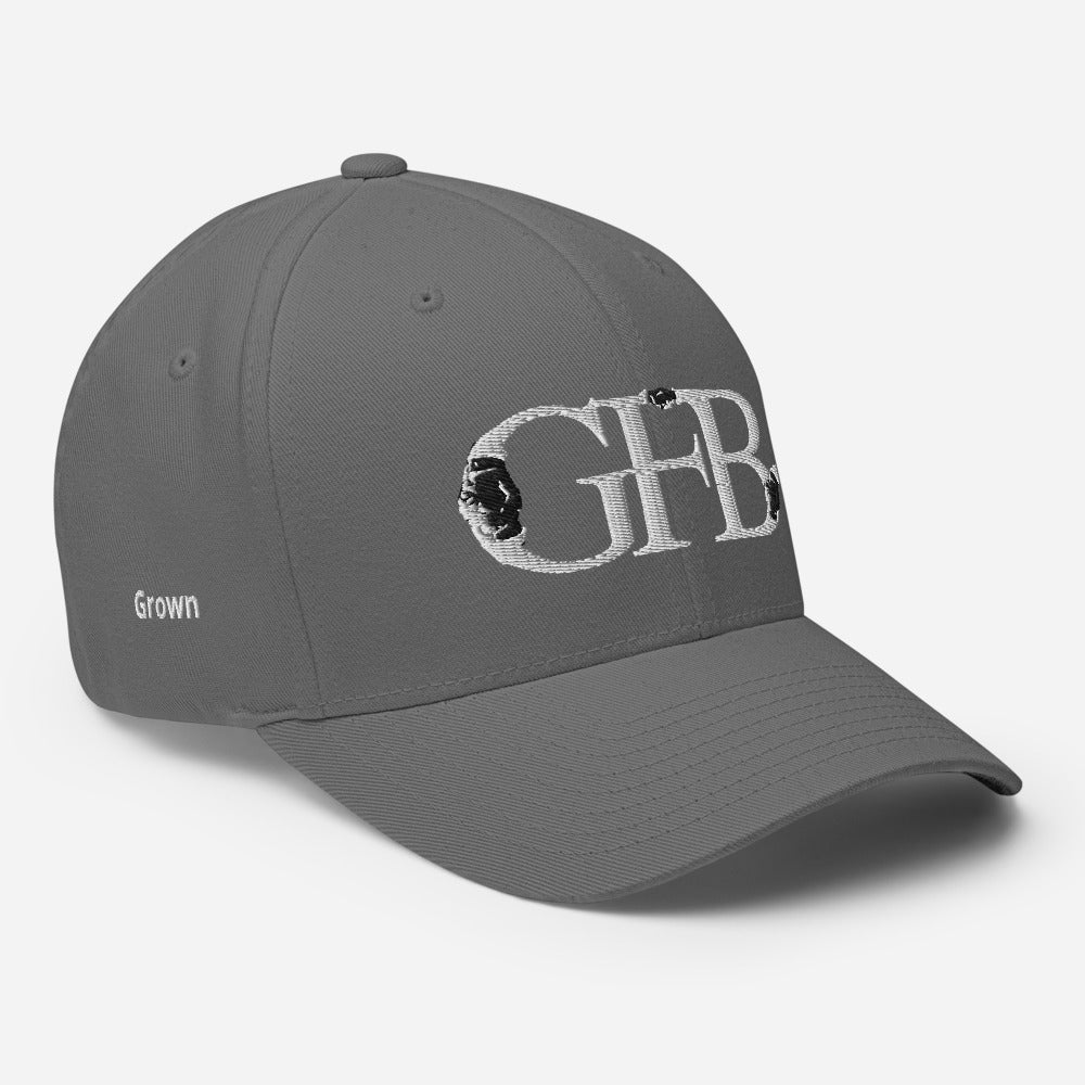 Original SHAKE Trademark Cap